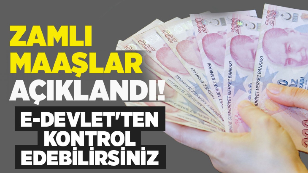 Zamlı maaşlar açıklandı! e-Devlet'ten kontrol edebilirsiniz