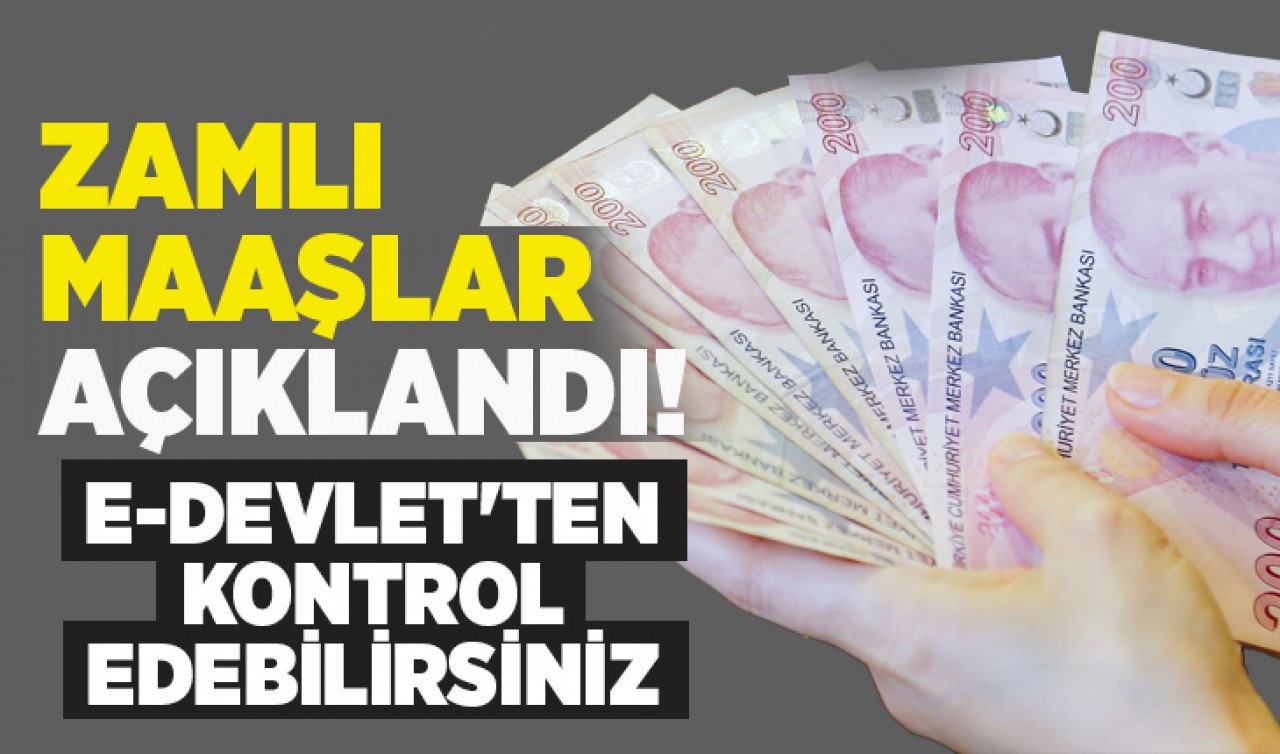 Zamlı maaşlar açıklandı! e-Devlet'ten kontrol edebilirsiniz