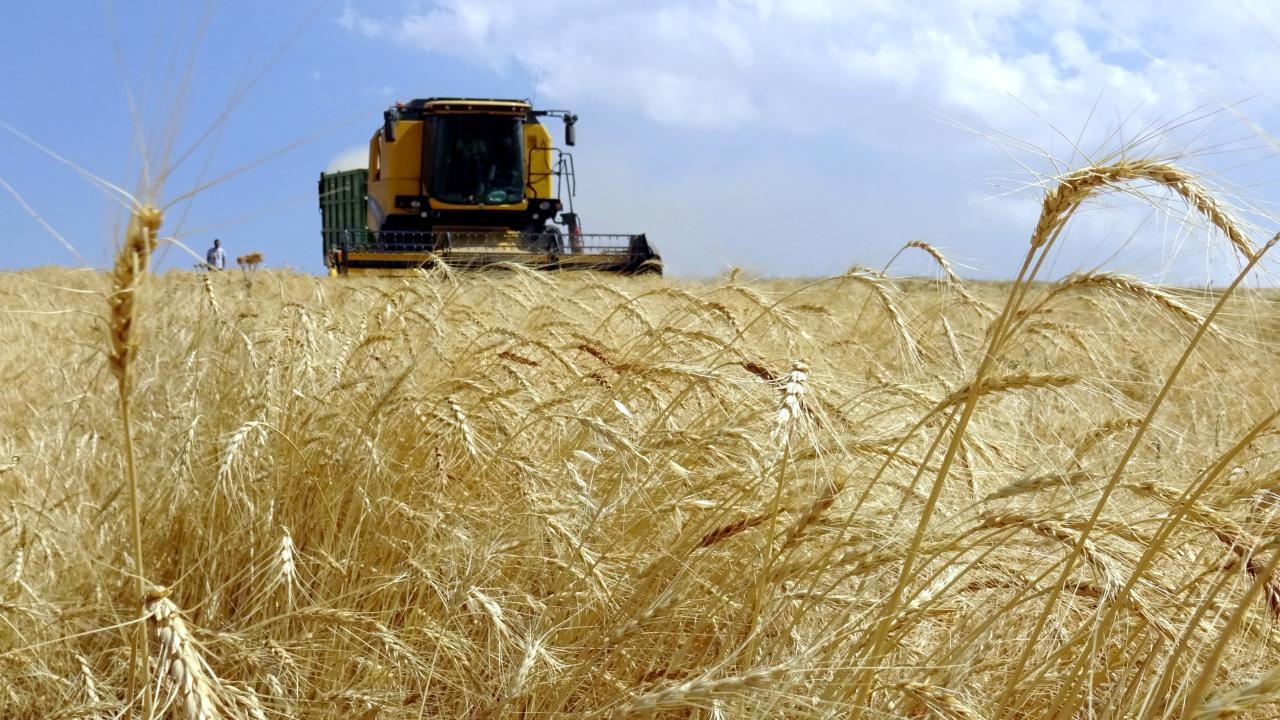 Çiftçilere 255,4 milyon lira destek ödemesi bugün yapılacak