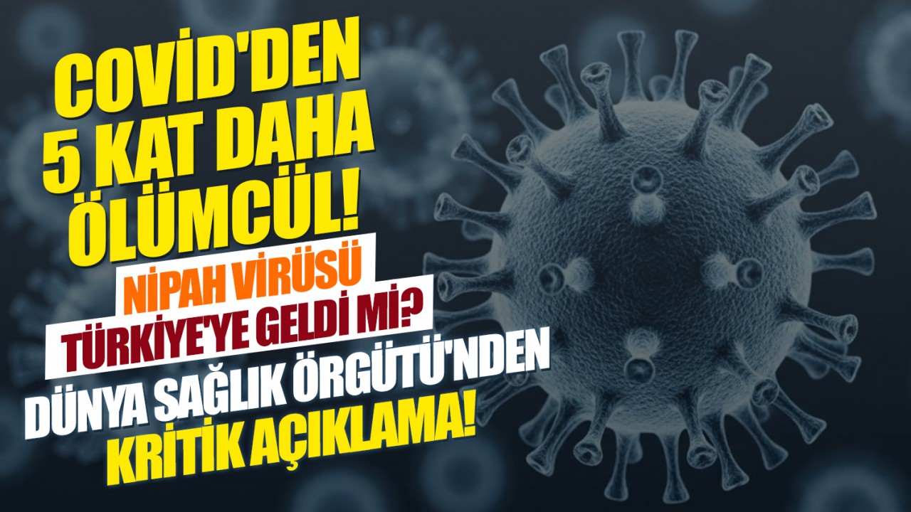 Covid'den 5 kat daha ölümcül! Nipah virüsü Türkiye'ye geldi mi? Dünya Sağlık Örgütü'nden kritik açıklama!