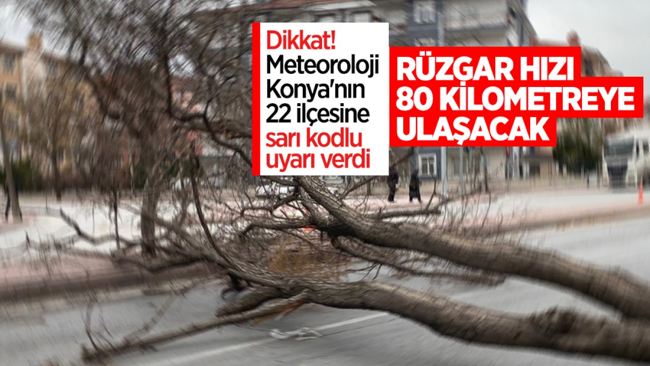 Dikkat! Meteoroloji Konya'nın 22 ilçesine sarı kodlu uyarı verdi: Rüzgar hızı 80 kilometreye ulaşacak