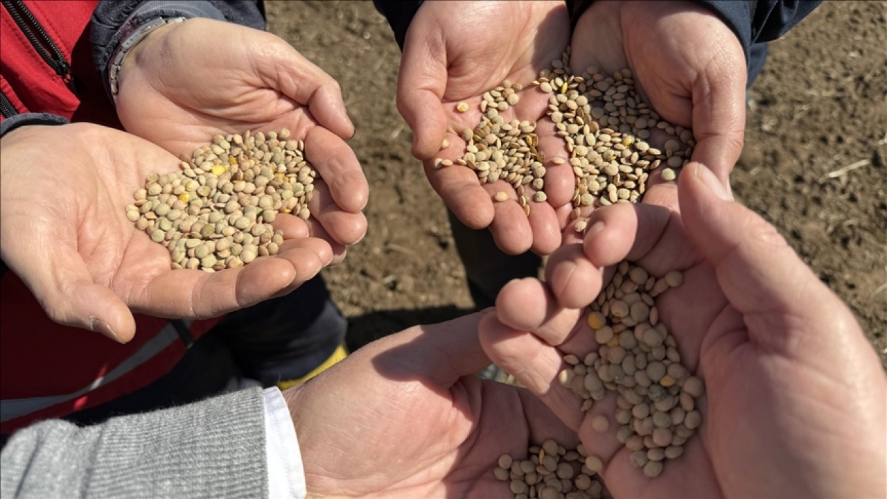 Kara şimşek olarak bilinen yemeğin adı nedir? Beyaz’la Joker 5 bin tl’lik soru