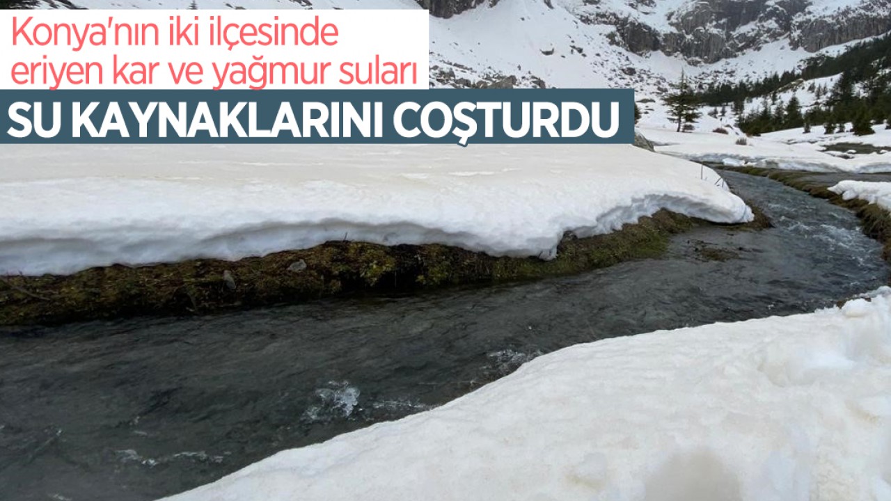 Konya'nın iki ilçesinde eriyen kar ve yağmur suları su kaynaklarını coşturdu