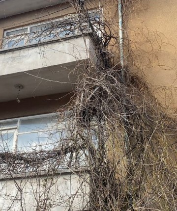 Balkondan tırmanıp girdiği evde 2 gün yaşadı