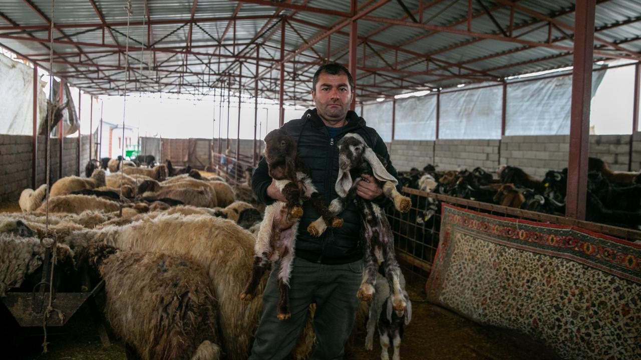 Depremde hayvanlarını kaybeden besici, devlet desteğiyle üretime devam ediyor
