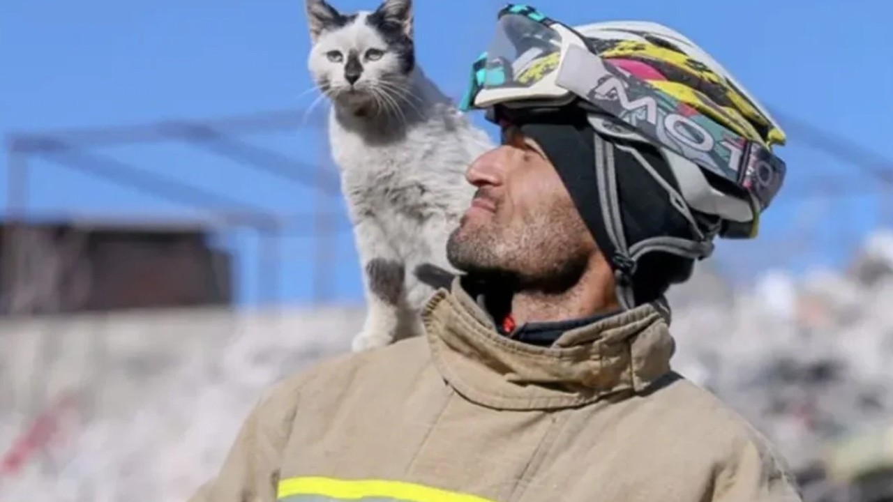 Asrın felaketinde enkazdan çıkardığı 'Enkaz' kediyle dostluğu 3 yıldır sürüyor