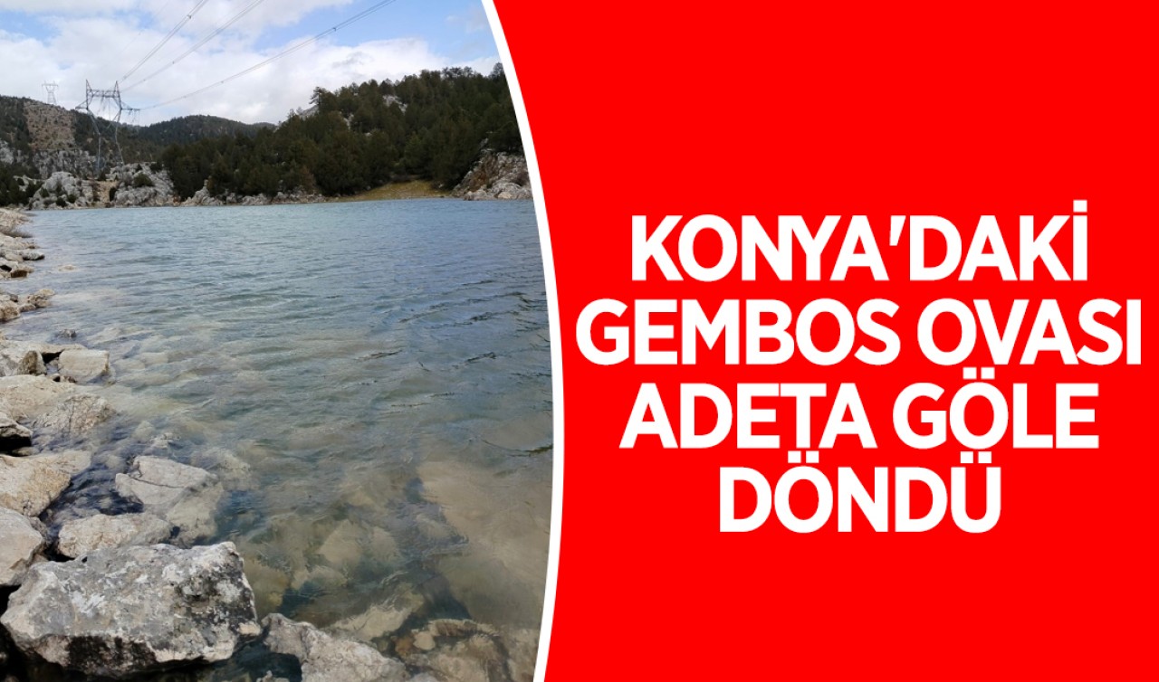 Konya'daki Gembos Ovası adeta göle döndü