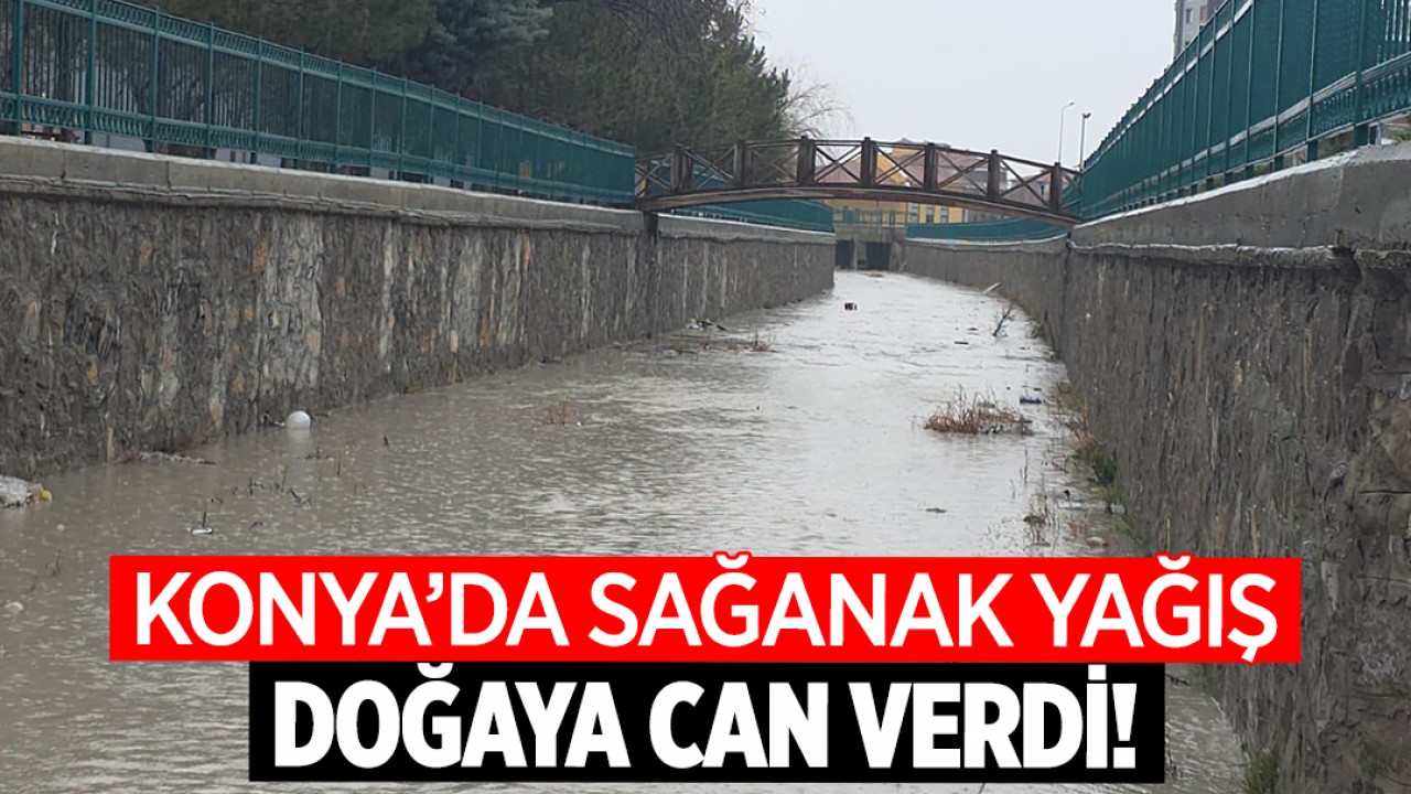 Konya'da sağanak yağış doğaya can verdi!
