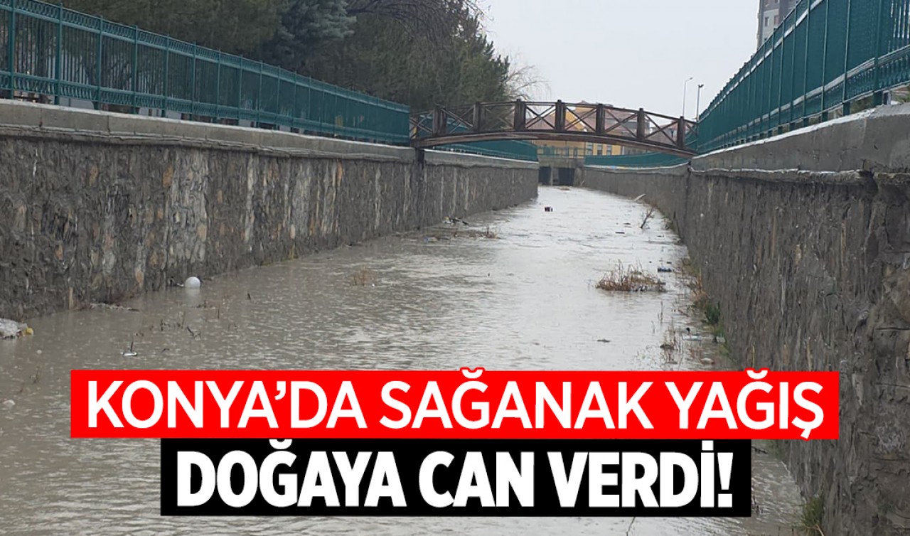 Konya'da sağanak yağış doğaya can verdi!
