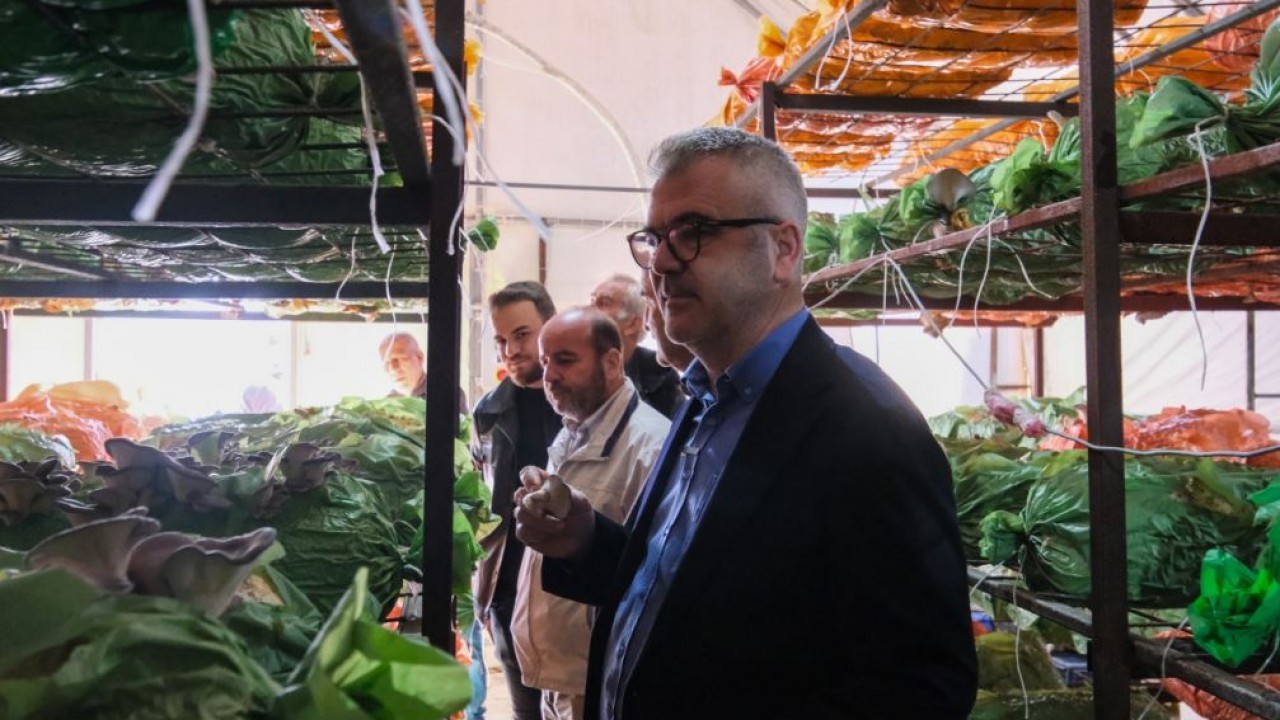 Rüzgardan serası zarar gören üreticiye Başkan Ustaoğlu'ndan ziyaret