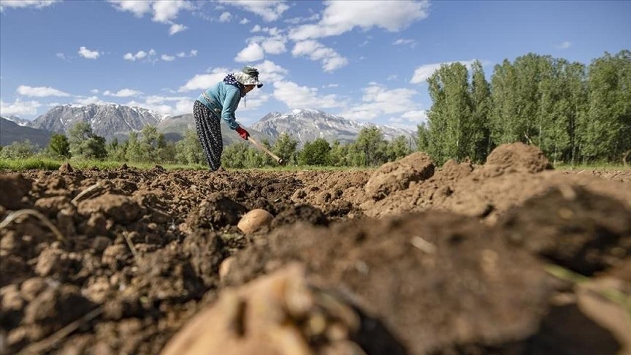Kırsalda yaşayanların nüfusu azalıyor