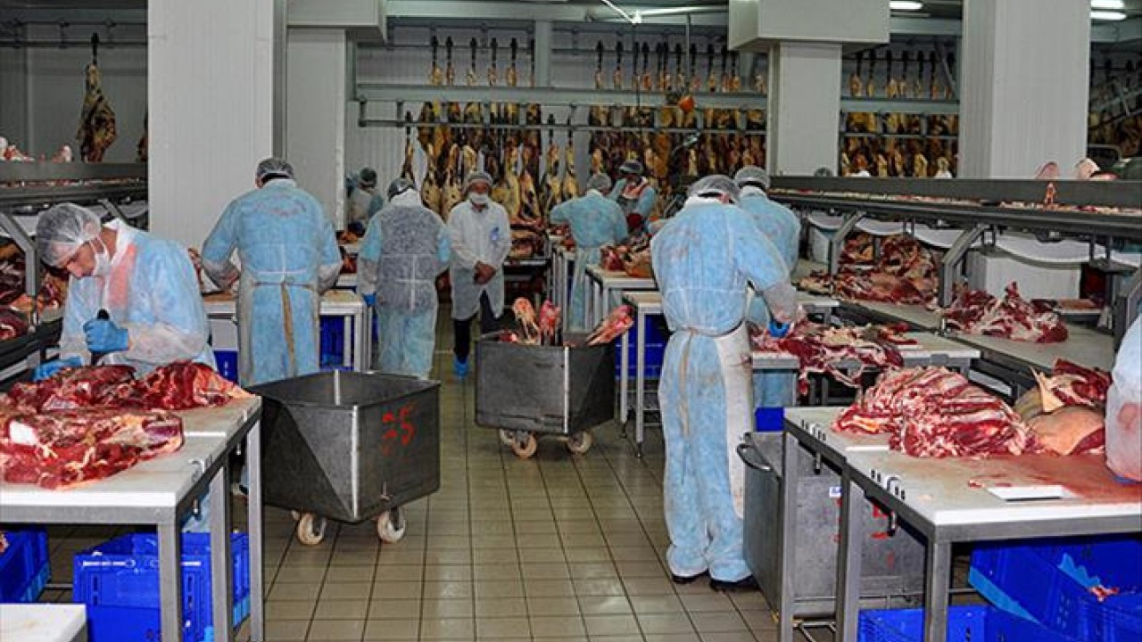 Et ve Süt Kurumunun sınıflandırmasına göre hangisi siyah etli bir balık türüdür? Kim Milyoner Olmak İster 100 bin tl’lik soru