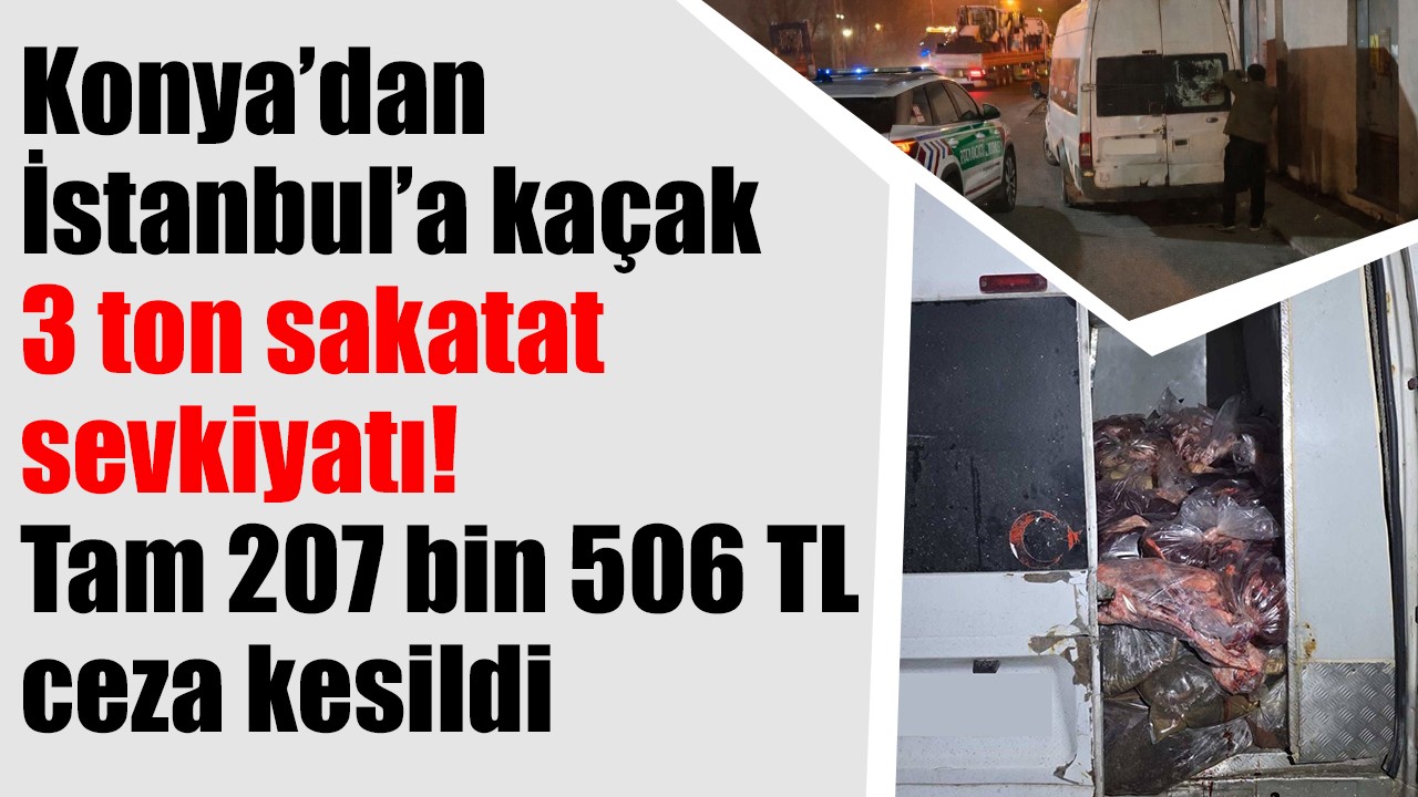 Konya’dan İstanbul’a kaçak 3 ton sakatat sevkiyatı! Tam 207 bin 506 TL ceza kesildi