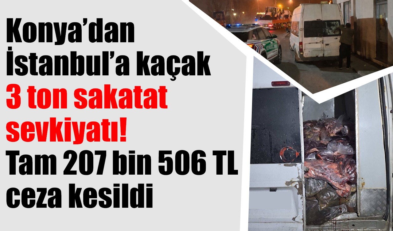 Konya’dan İstanbul’a kaçak 3 ton sakatat sevkiyatı! Tam 207 bin 506 TL ceza kesildi