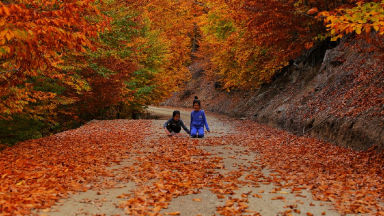 Hangisi ülkemizde sonbahar ile hatırlanmaz? Çifte Milyon Sorusu