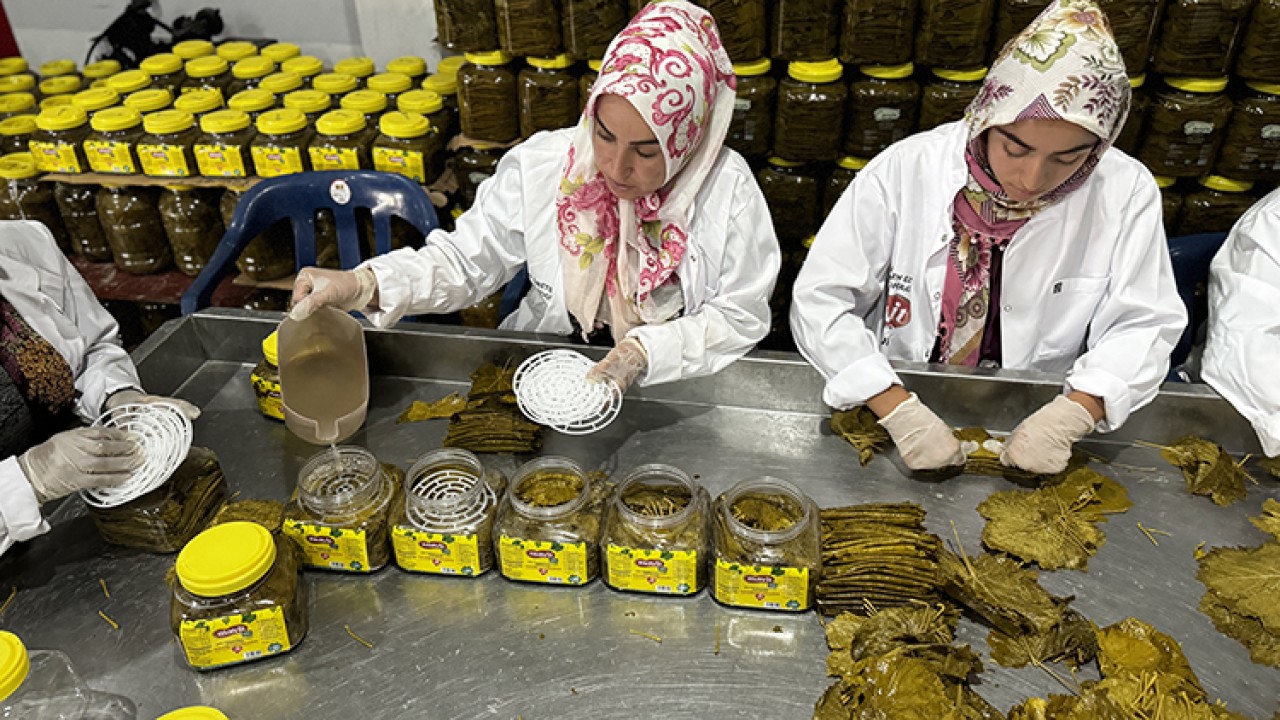 Salamura hangisine verilen isimdir? Çifte Milyon