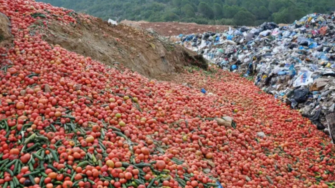 Kilolarca biber domatesi çöpe attılar