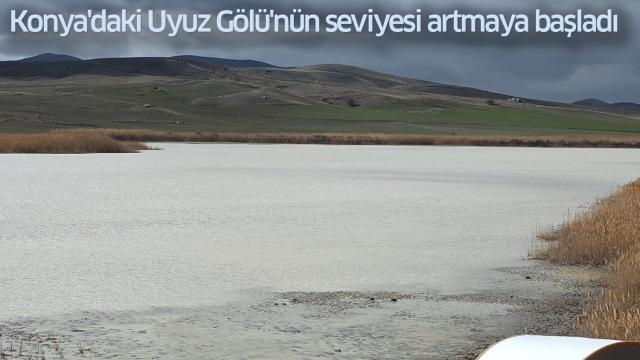Konya'daki Uyuz Gölü'nün seviyesi artmaya başladı
