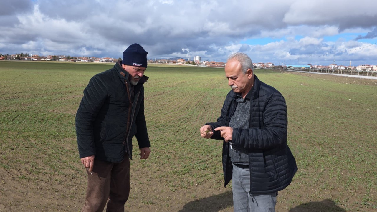 Kulu Ziraat Odası Başkanı Öztürk, yağış sonrası göl ve tarım arazilerinde incelemelerde bulundu