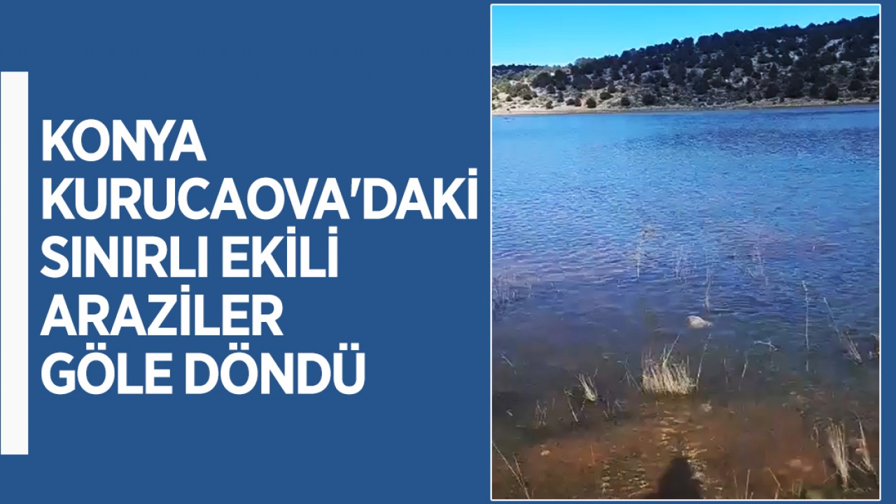 Konya Kurucaova'daki sınırlı ekili araziler göle döndü