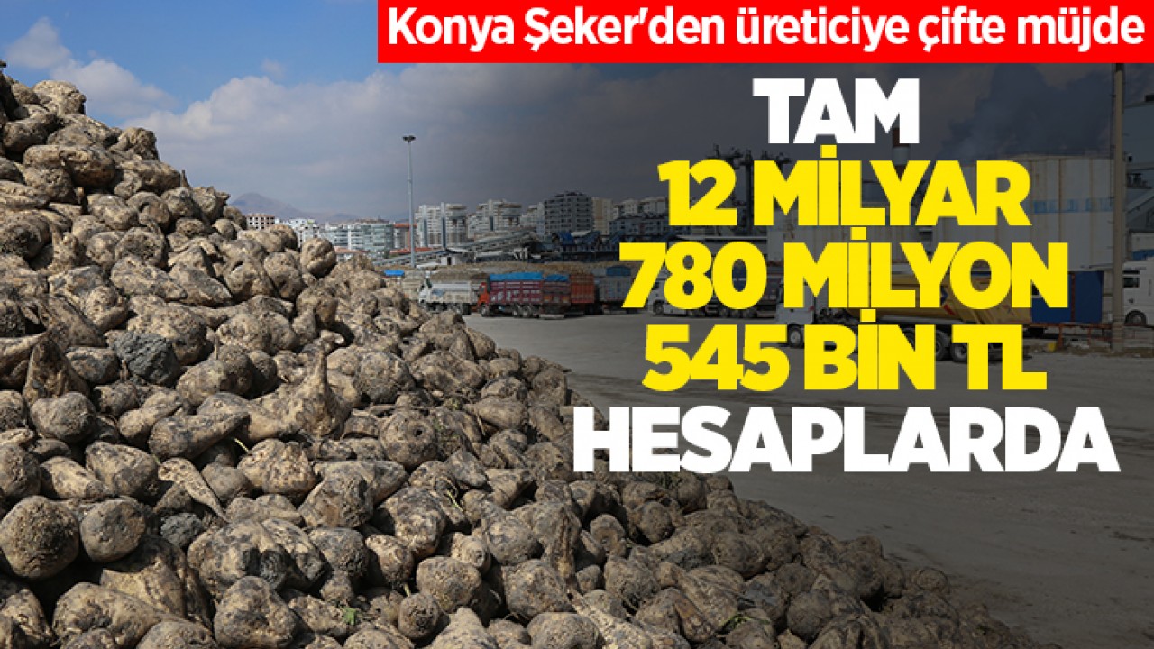 Konya Şeker'den üreticiye çifte müjde: Tam 12 milyar 780 milyon 545 bin TL hesaplarda
