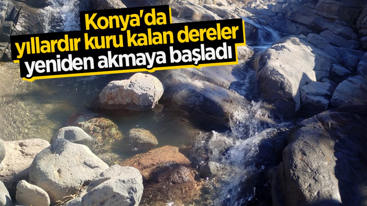 Konya'da yıllardır kuru kalan dereler yeniden akmaya başladı