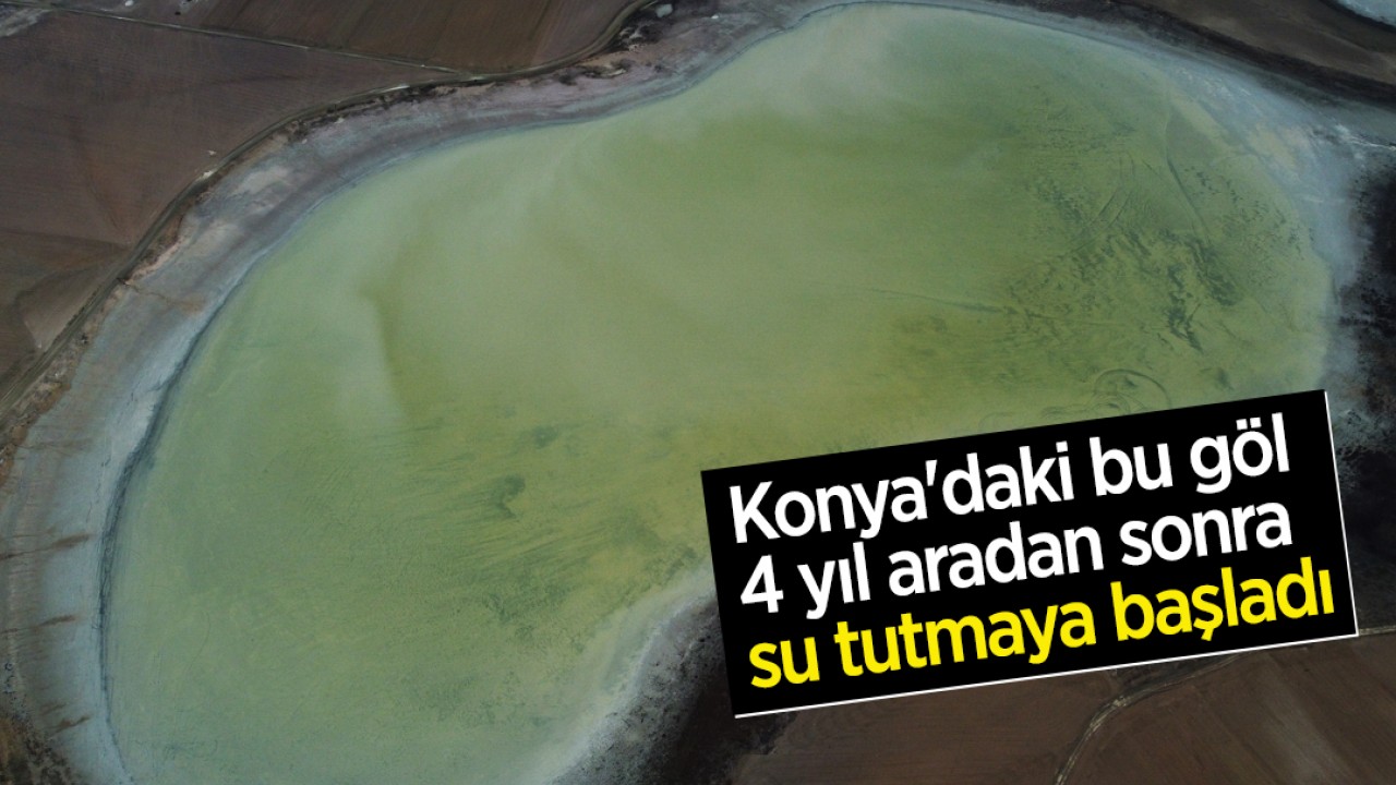 Konya'daki bu göl 4 yıl aradan sonra su tutmaya başladı