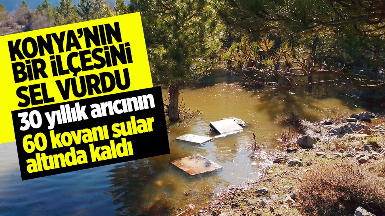 Konya'nın bir ilçesini sel vurdu: 30 yıllık arıcının 60 kovanı sular altında kaldı