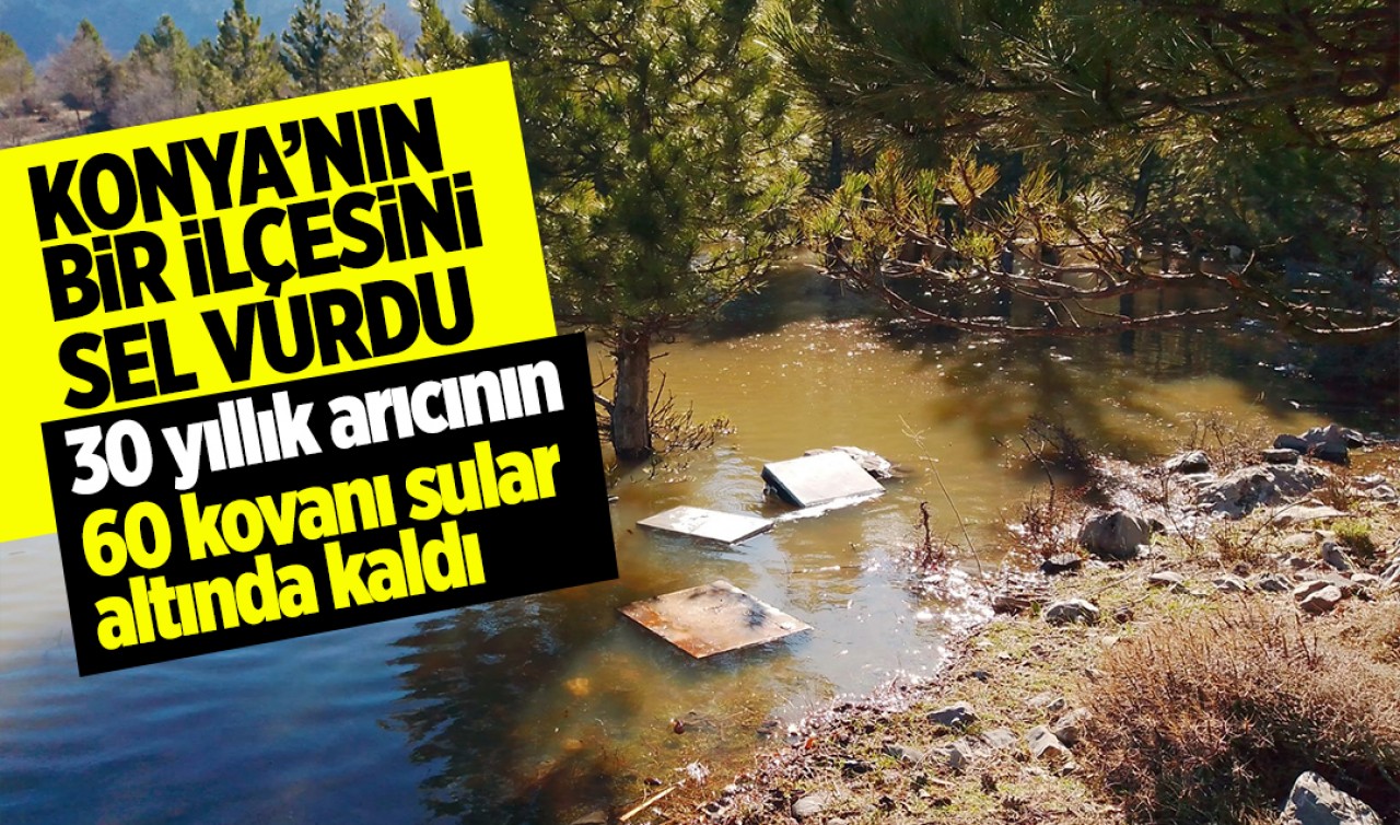 Konya'nın bir ilçesini sel vurdu: 30 yıllık arıcının 60 kovanı sular altında kaldı