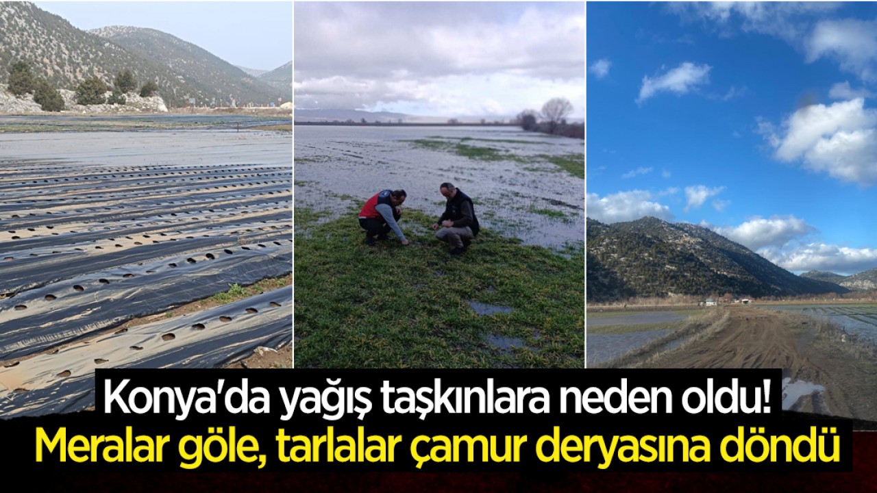 Konya'da yağış taşkınlara neden oldu! Meralar göle, tarlalar çamur deryasına döndü