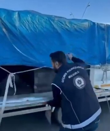 Hayvan dışkısı ile kamufle edilen bölmeden 19 kaçak göçmen çıktı