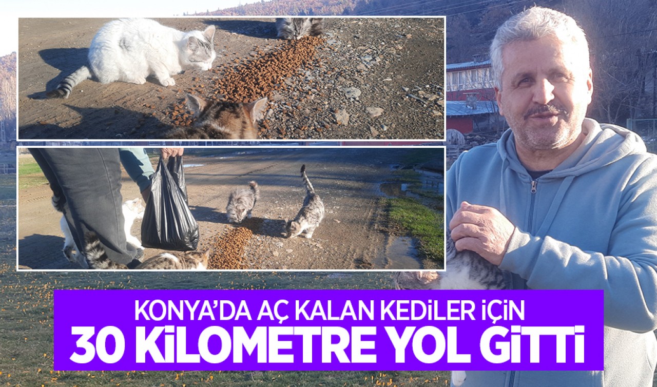 Konya'da aç kalan kediler için 30 kilometre yol gitti