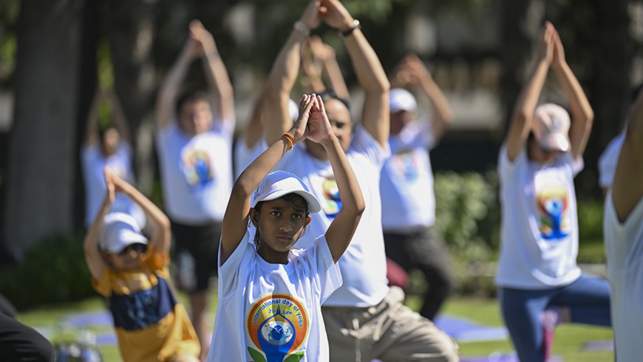 Pandikülasyon terimi hangi eylemi tanımlamak için kullanılır? Beyaz'la Joker Sorusu