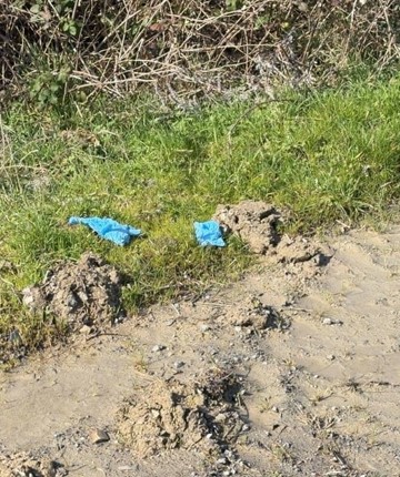 Kayıp iş insanı toprağa gömülü bulundu