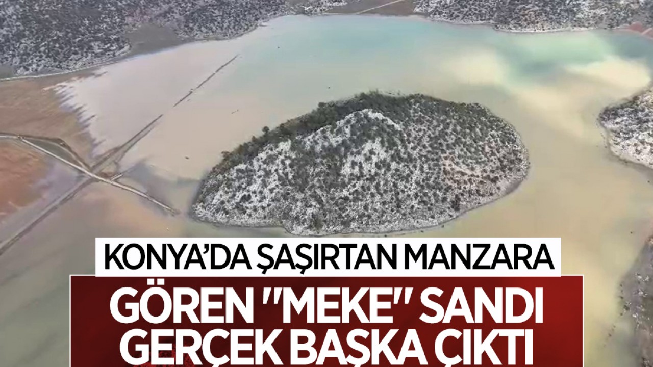 Konya’da şaşırtan manzara: Gören "Meke" sandı, gerçek başka çıktı