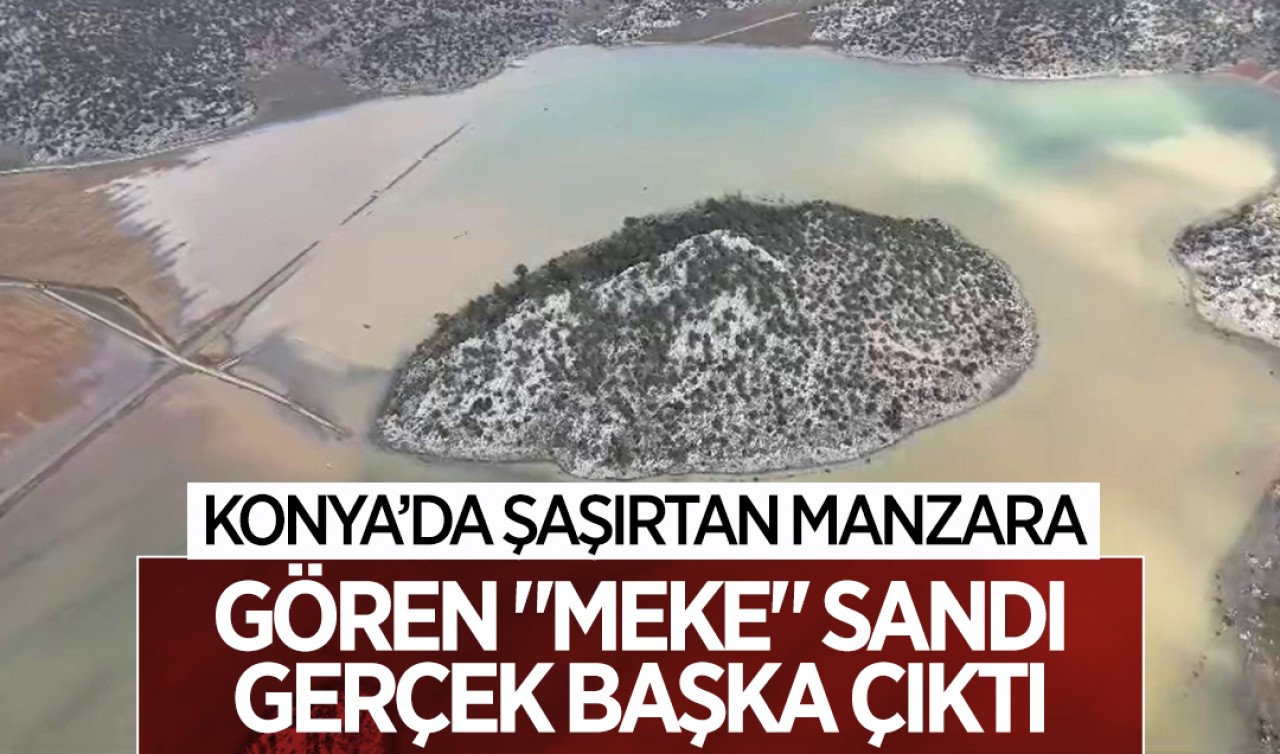 Konya’da şaşırtan manzara: Gören "Meke" sandı, gerçek başka çıktı