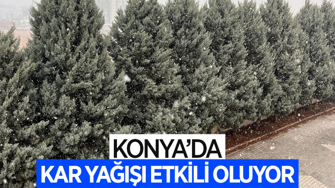 Konya'da kar yağışı etkili oluyor