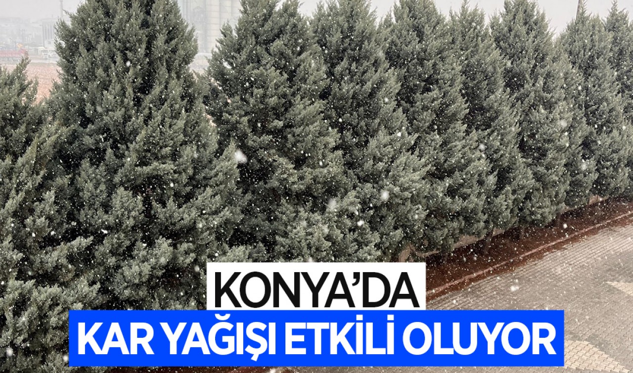 Konya'da kar yağışı etkili oluyor