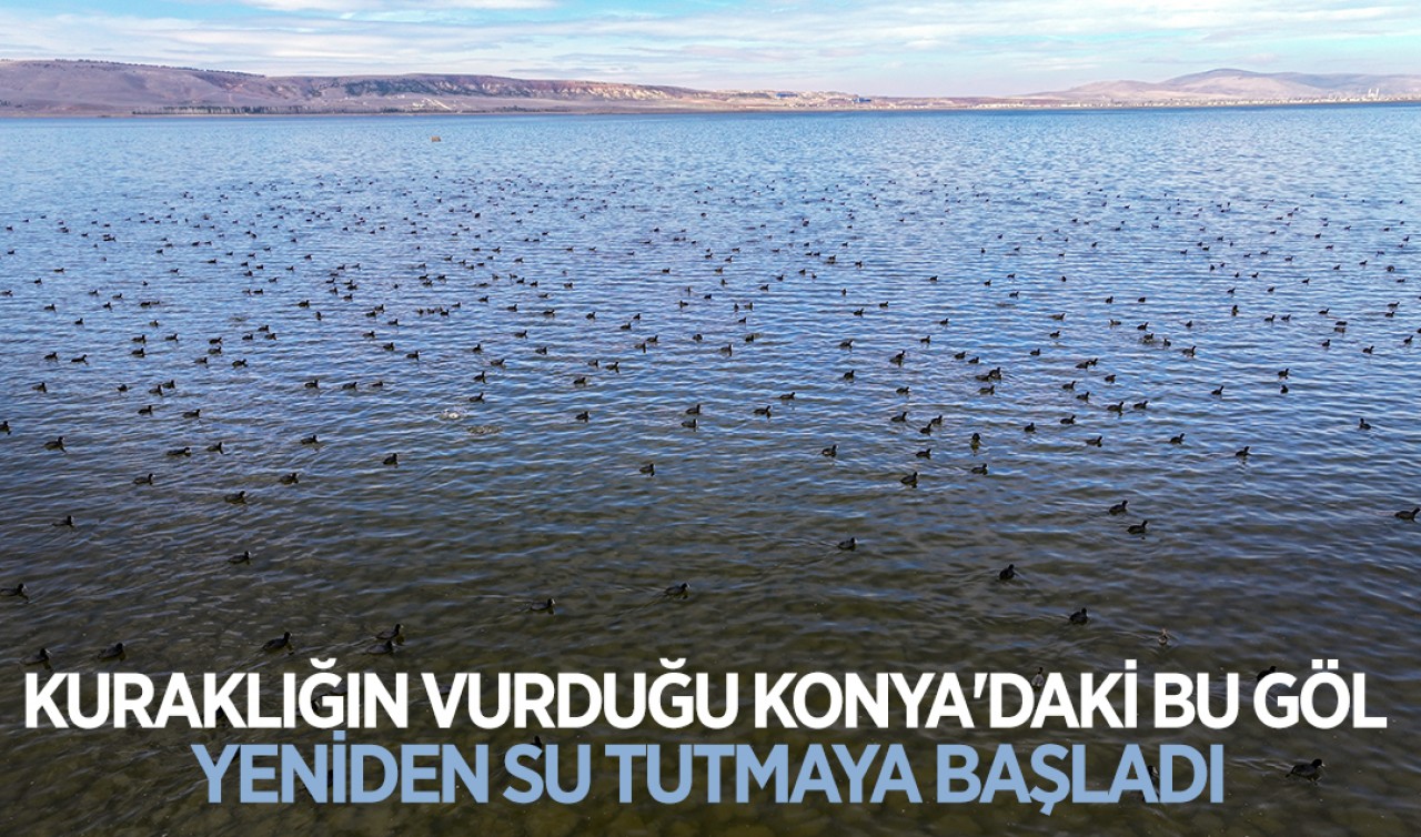 Kuraklığın vurduğu Konya'daki bu göl yeniden su tutmaya başladı