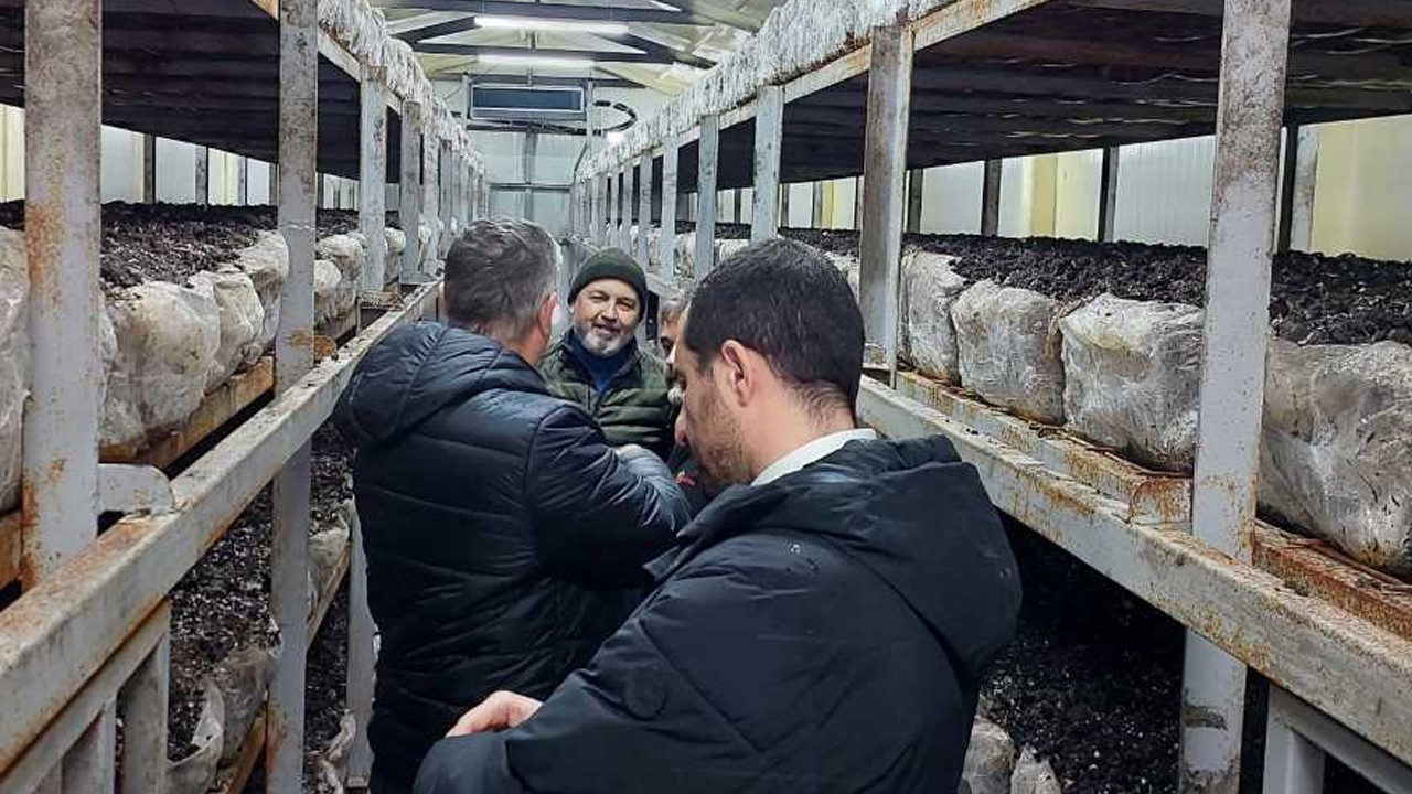 Kadınhanı’nda mantar üreticilerine destek