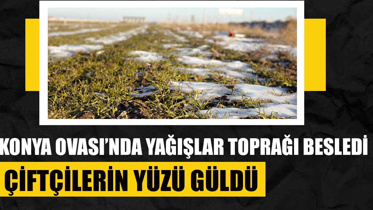 Konya Ovası’nda yağışlar toprağı besledi, çiftçilerin yüzü güldü