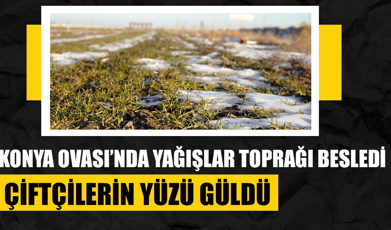 Konya Ovası’nda yağışlar toprağı besledi, çiftçilerin yüzü güldü