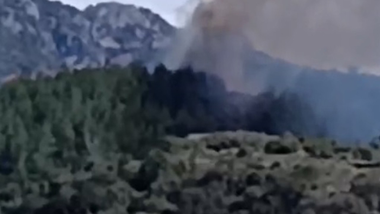 Osmaniye'de orman yangını