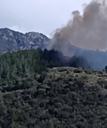 Osmaniye'de orman yangını