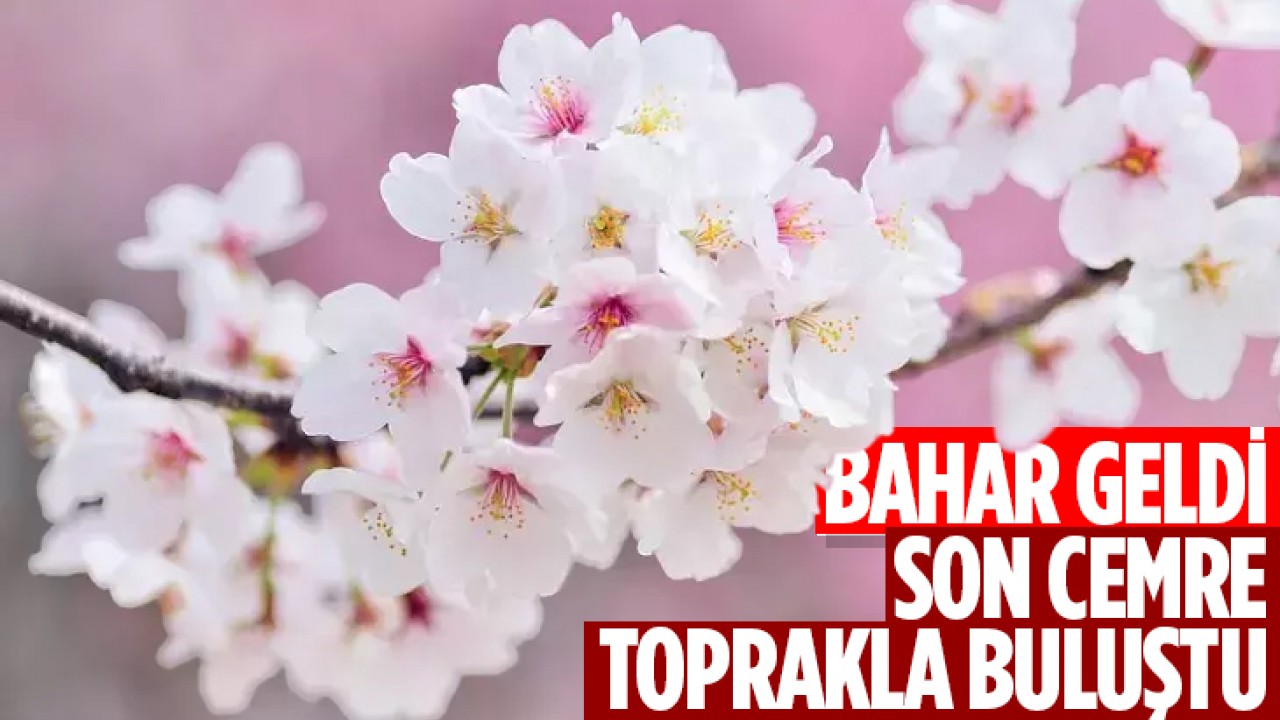 Bahar geldi: Son cemre toprakla buluştu