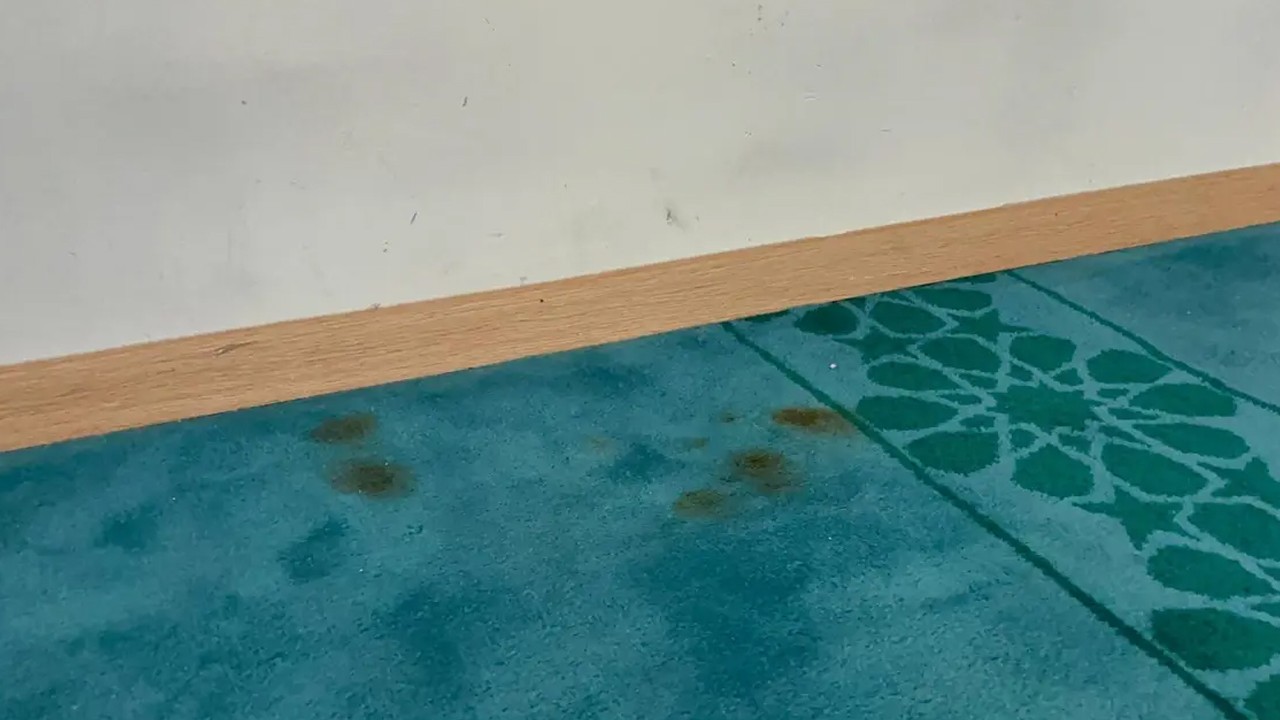 Camiye çirkin saldırı! Duvarları kırıp halılarda sigara söndürdüler