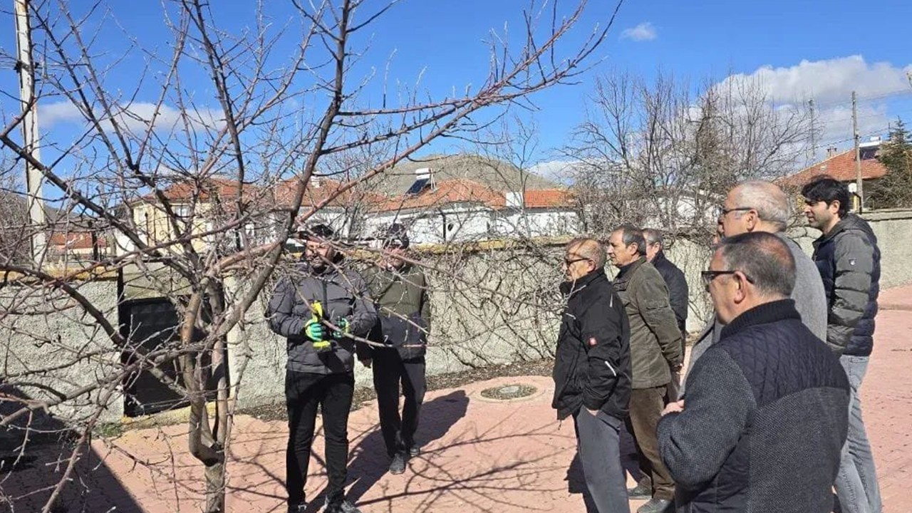 Kulu’da meyve ağaçlarında budama eğitimi düzenlendi