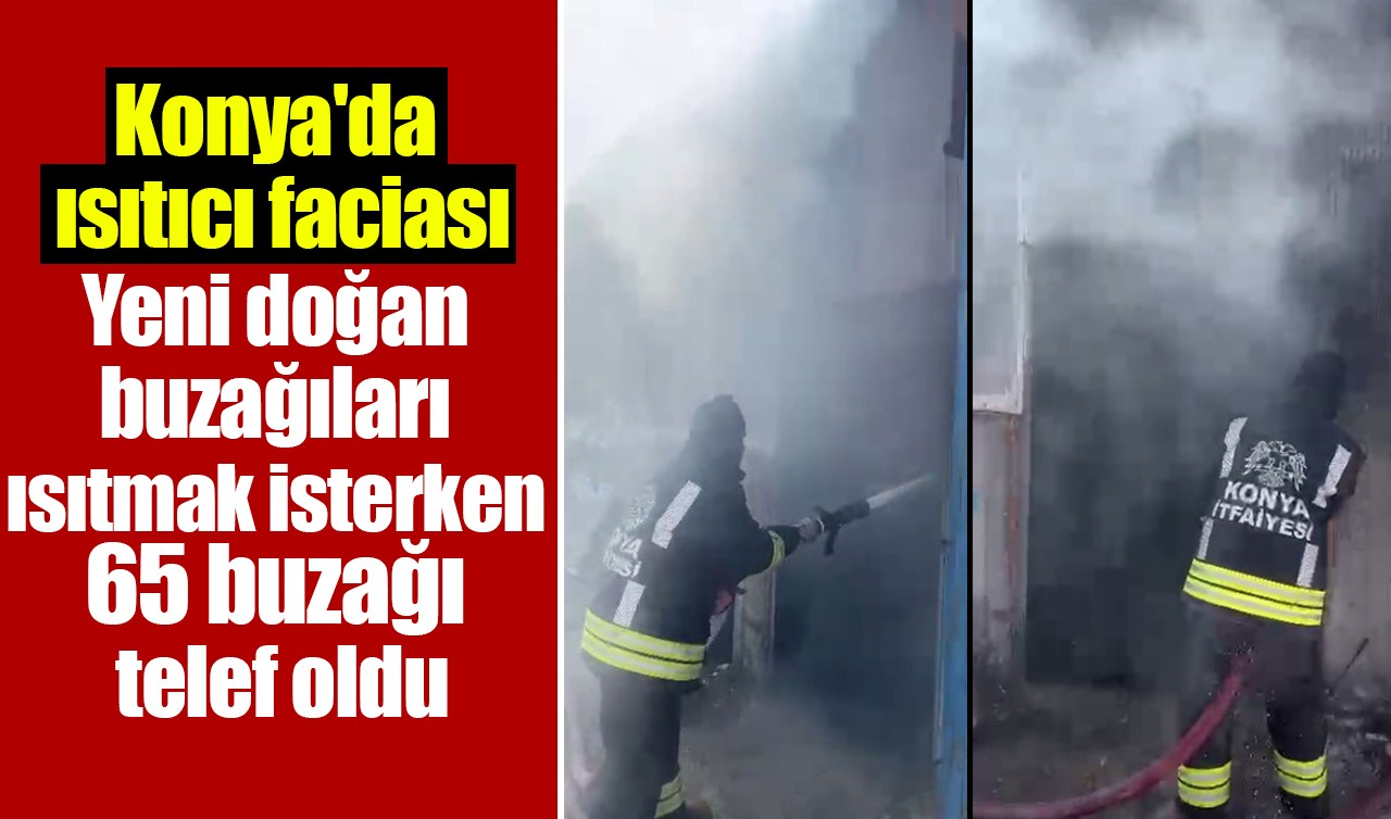 Konya'da ısıtıcı faciası: Yeni doğan buzağıları ısıtmak isterken 65 buzağı telef oldu