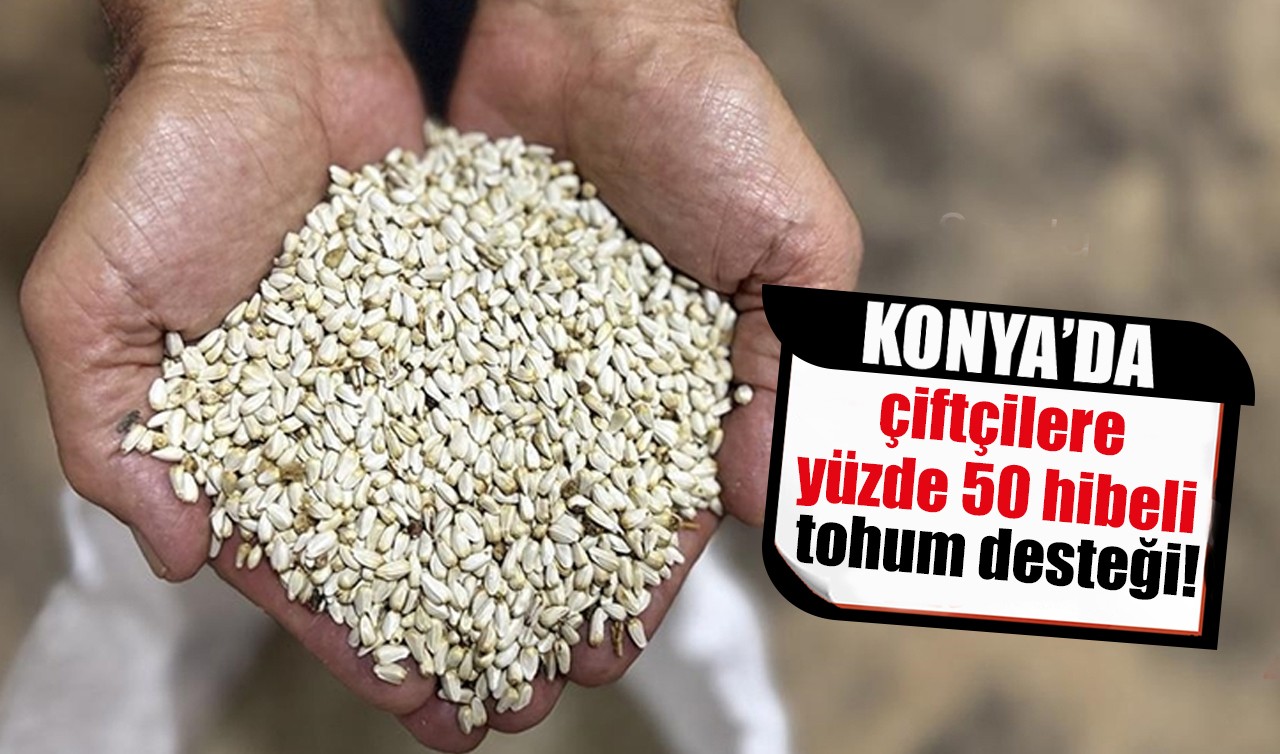 Konya’da çiftçilere yüzde 50 hibeli tohum desteği!