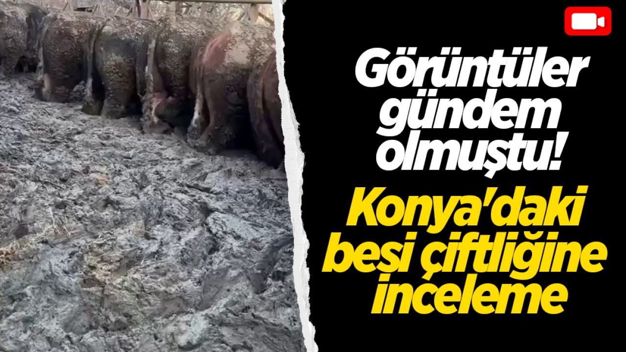Görüntüler gündem olmuştu! Konya'daki besi çiftliğine inceleme